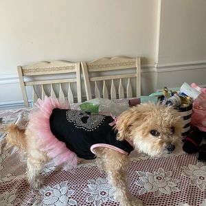 Doggie 🐶 Tutu Dress